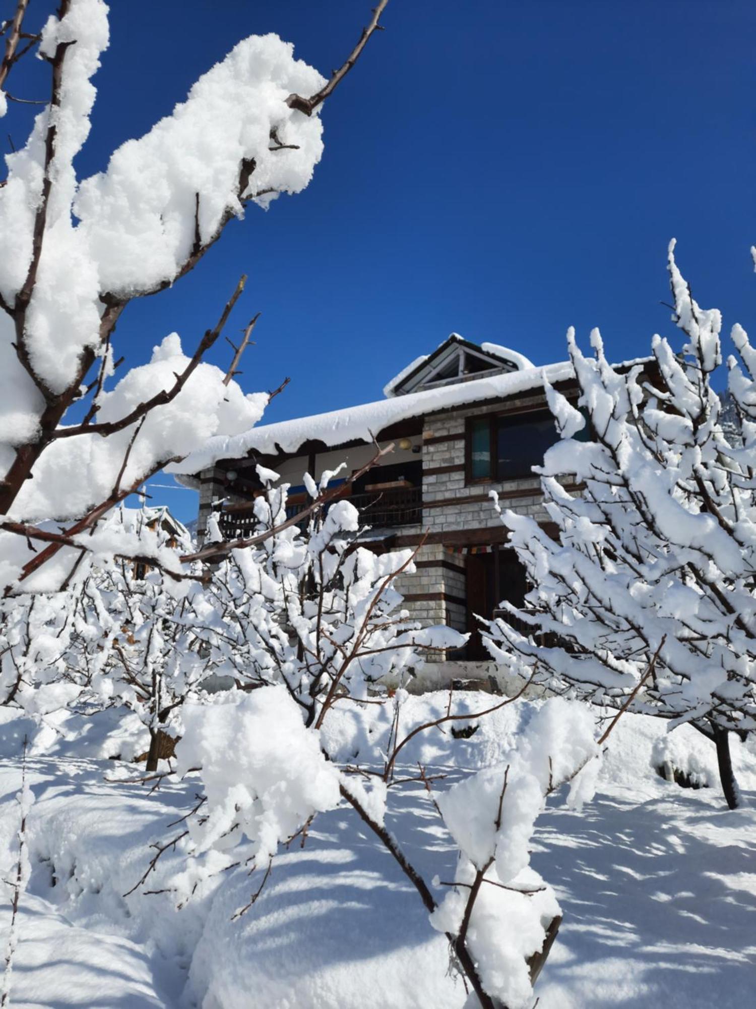 The Hideout - Hiraeth Hostel Manali  Exterior photo